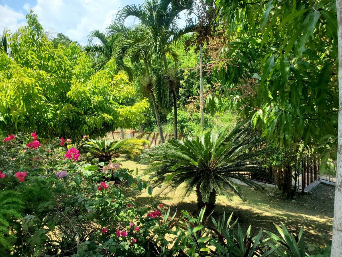 Sunbreeze Ocho Rios - A Spacious, Homely Apartment Exterior photo